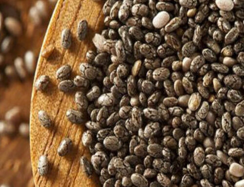 Chia Seeds Health Benefits