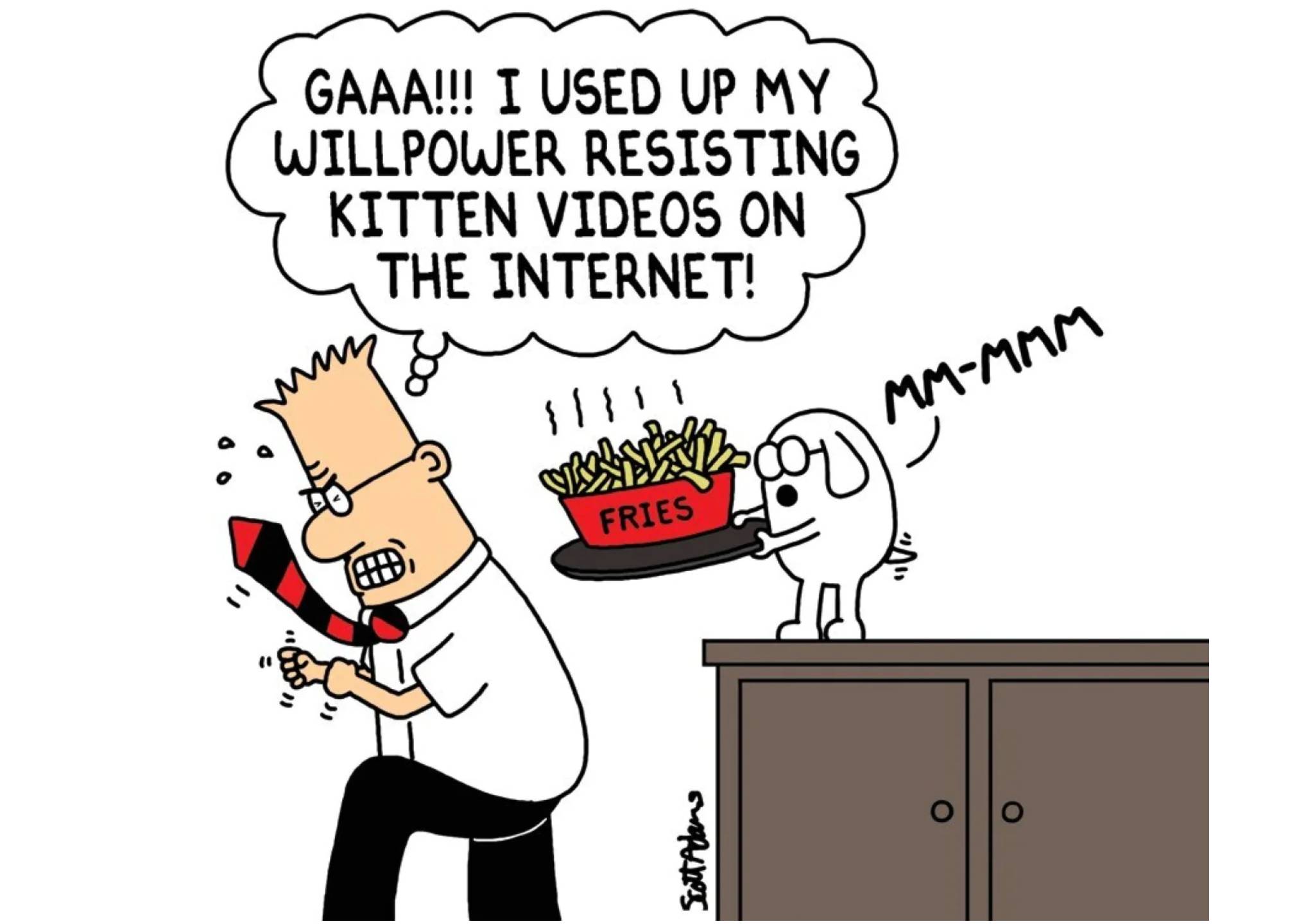 what-is-the-connection-between-having-willpower-and-happiness